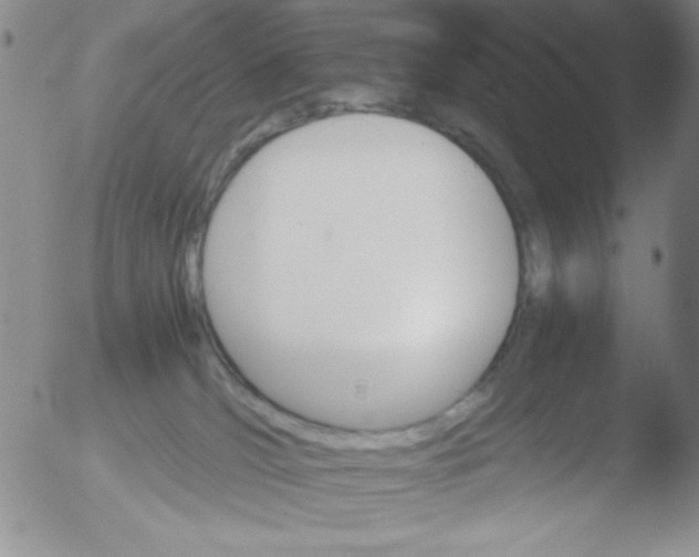 X0000051880036200507081924