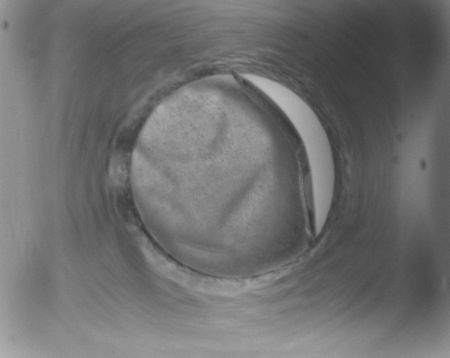 X0000051880037200507081924