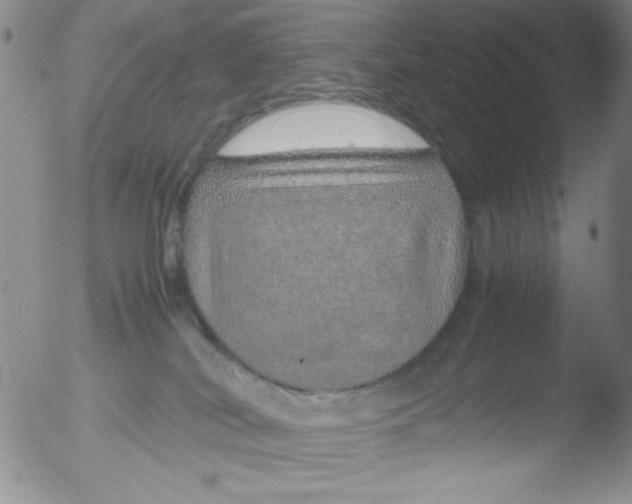 X0000051880038200507081924