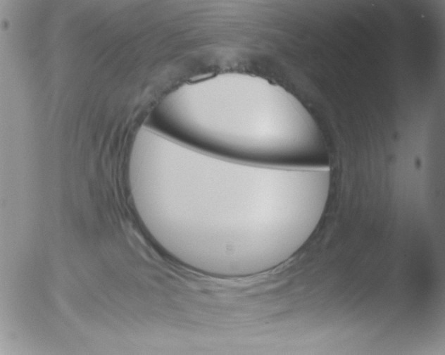 X0000051880039200507081924