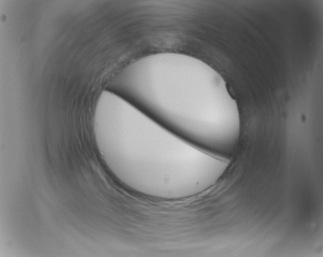 X0000051880040200507081924