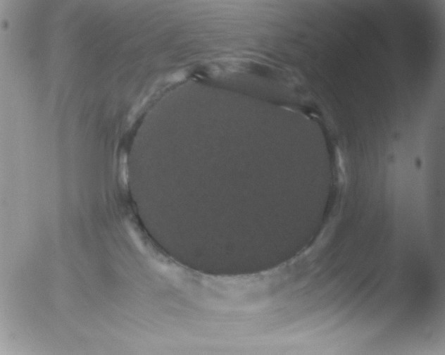 X0000051880041200507081924