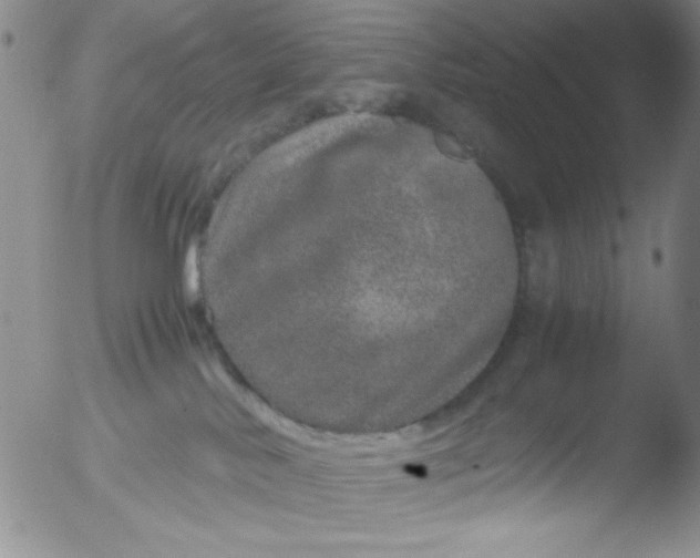 X0000051880042200507081924