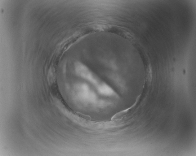 X0000051880043200507081924