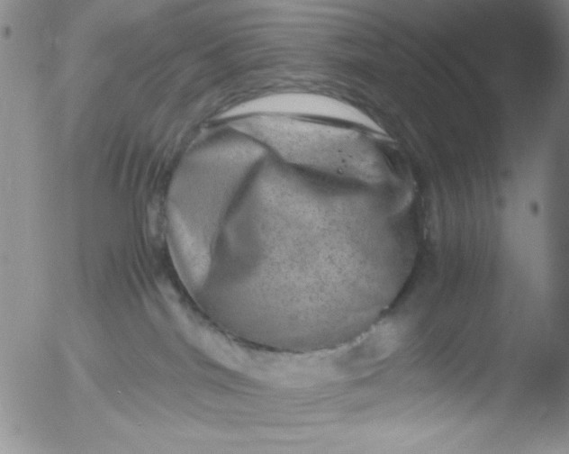 X0000051880044200507081924