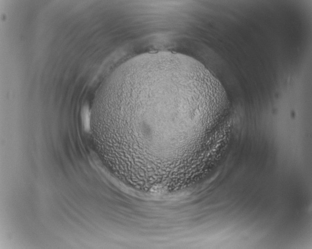 X0000051880046200507081924