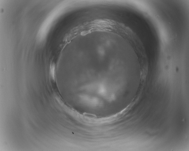 X0000051880047200507081924