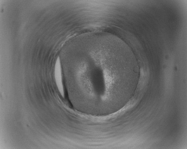 X0000051880048200507081924