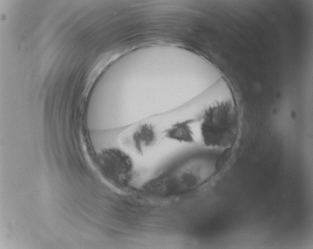 X0000051880049200507081923