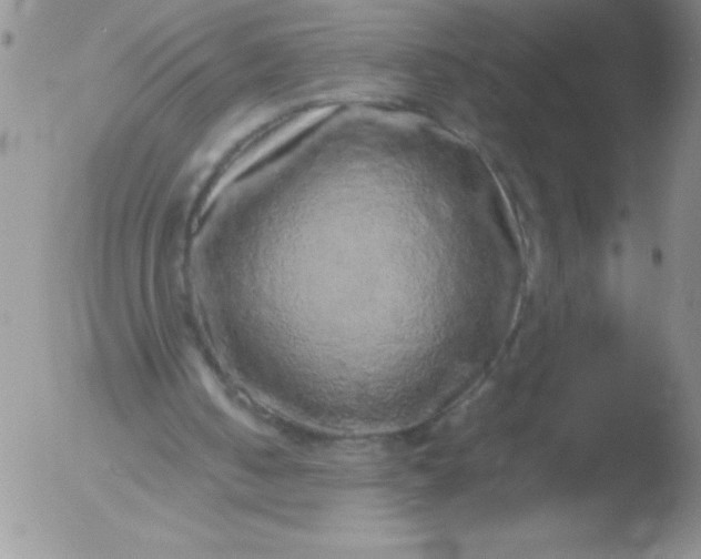 X0000051880050200507081923