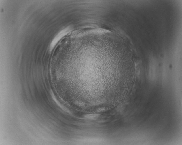 X0000051880051200507081923