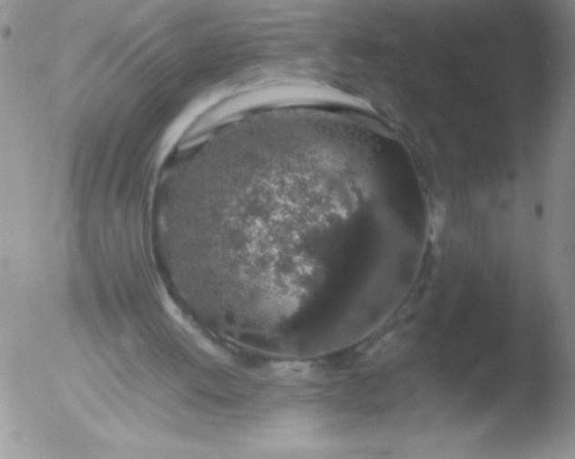 X0000051880052200507081924