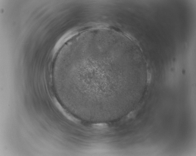 X0000051880053200507081924