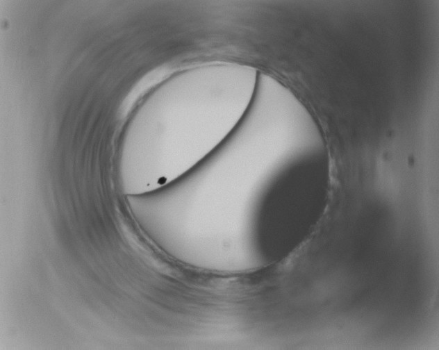 X0000051880054200507081924