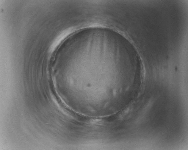 X0000051880055200507081924