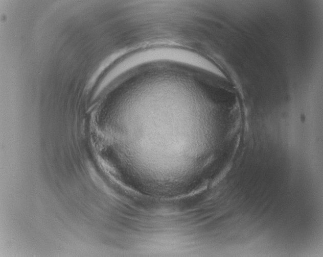 X0000051880060200507081924