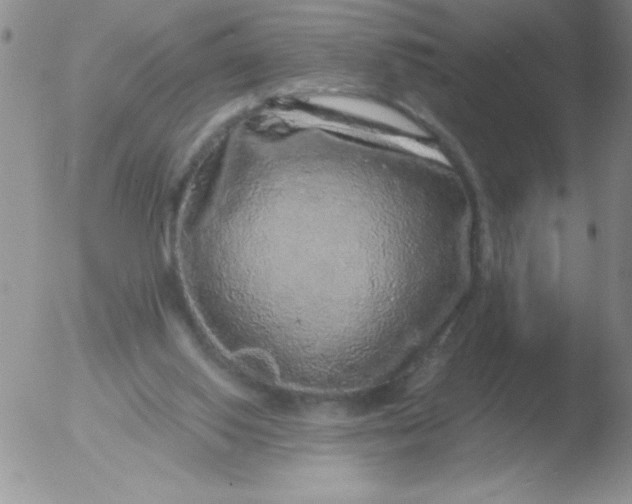 X0000051880062200507081924