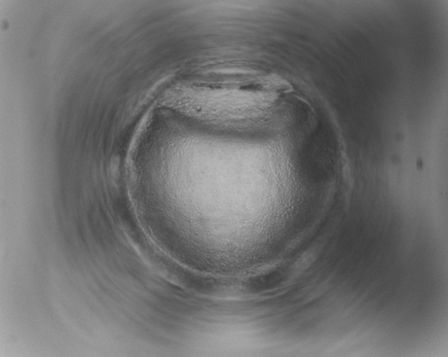 X0000051880066200507081924