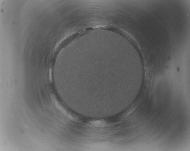 X0000051880067200507081924