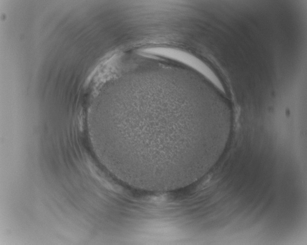 X0000051880068200507081924