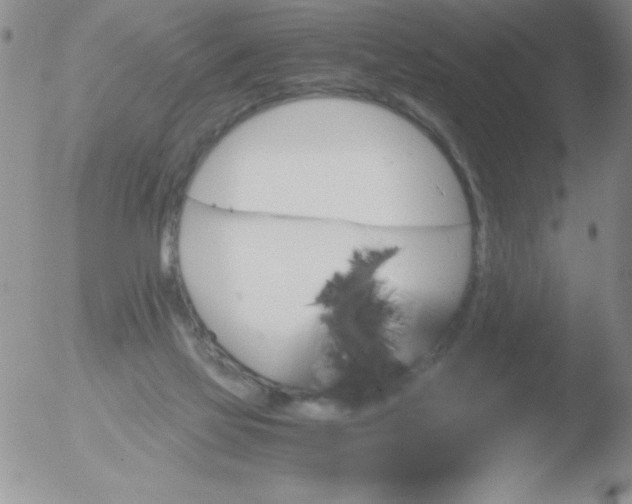 X0000051880069200507081924