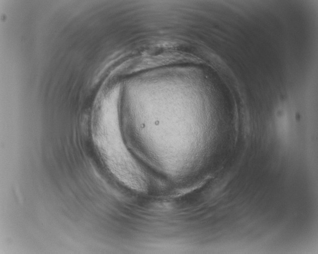 X0000051880071200507081924