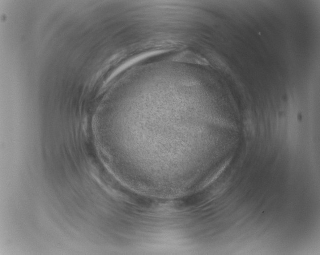 X0000051880072200507081924