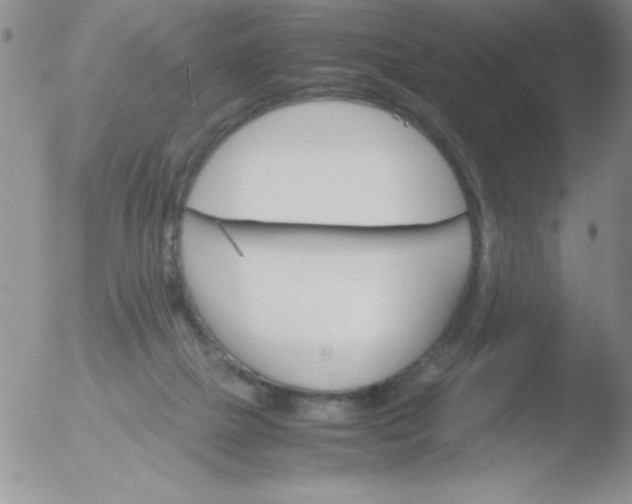 X0000051880073200507081924