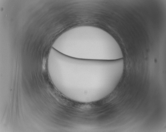 X0000051880075200507081924