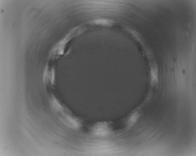 X0000051880076200507081924