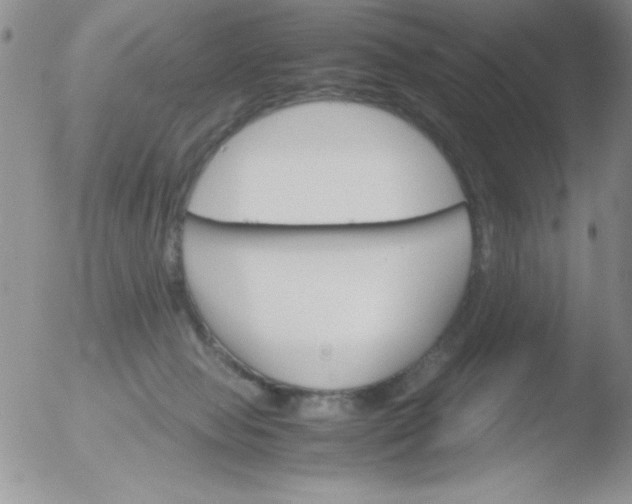 X0000051880077200507081924