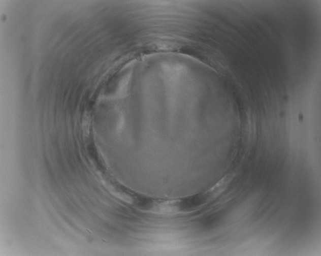 X0000051880078200507081924