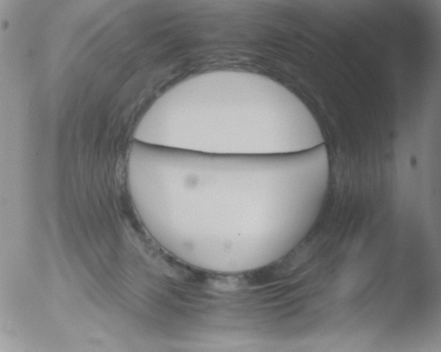 X0000051880079200507081924