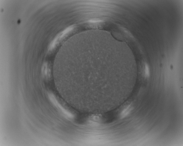 X0000051880080200507081924