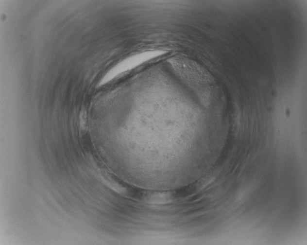 X0000051880081200507081924