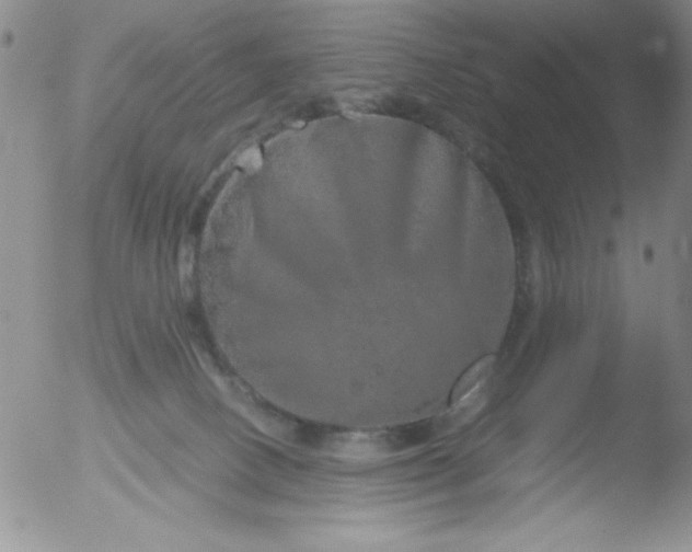 X0000051880082200507081924