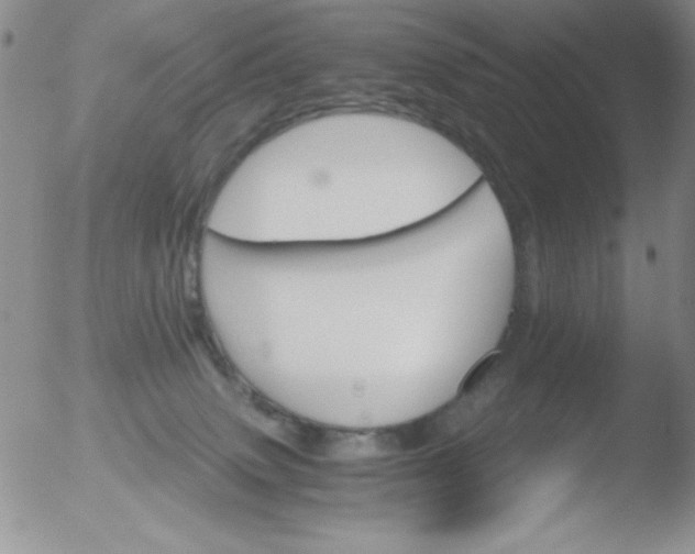 X0000051880083200507081924