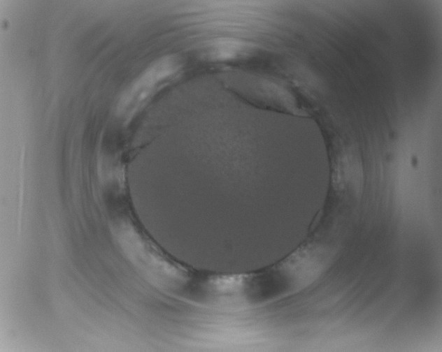 X0000051880084200507081924