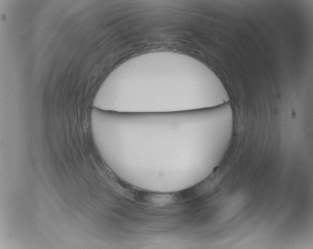 X0000051880085200507081924