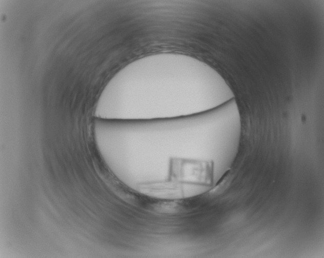 X0000051880086200507081924