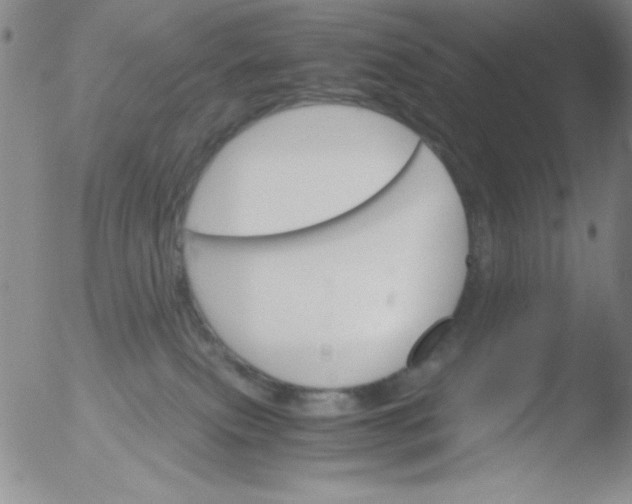 X0000051880087200507081924