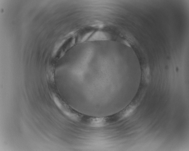 X0000051880088200507081924