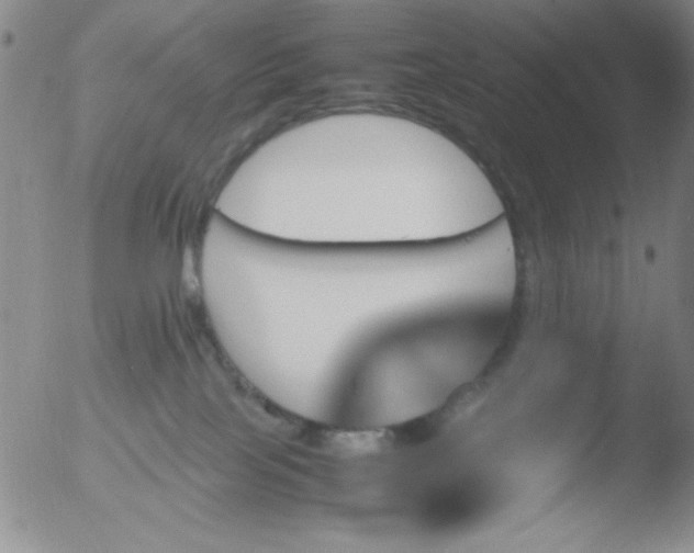 X0000051880089200507081924