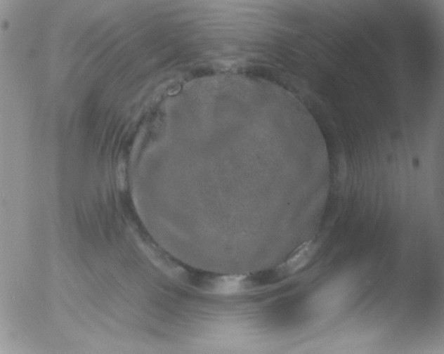 X0000051880090200507081924