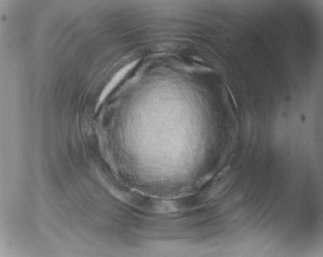 X0000051880091200507081924