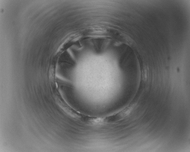 X0000051880092200507081924