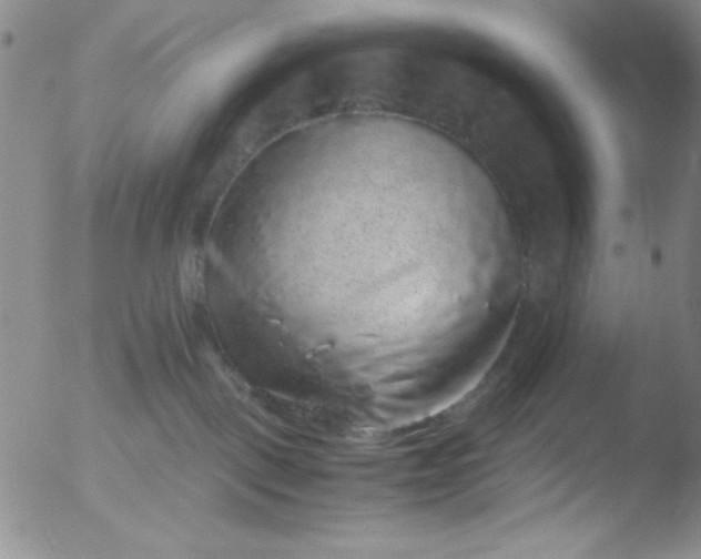 X0000051880093200507081924