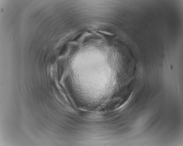 X0000051880094200507081924