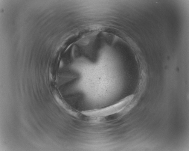 X0000051880096200507081924