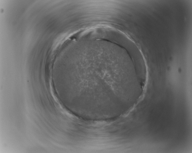 X0000051880097200507081923